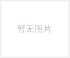 全能防水型 24区位、36区位铁金刚王金属探测门GG-LCD X